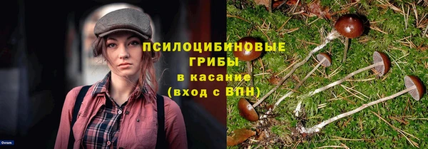 крисы Заволжск
