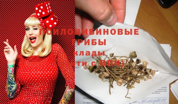 кристаллы Покровск