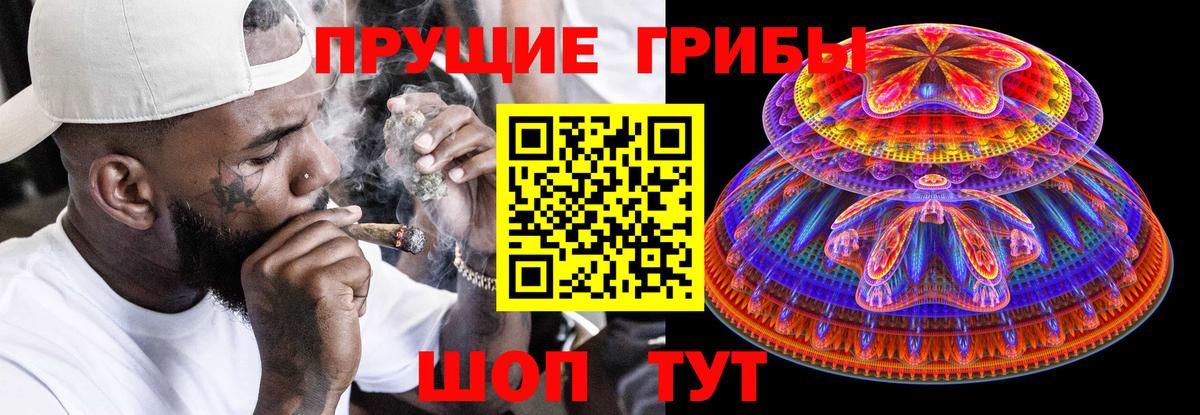 Псилоцибиновые грибы GOLDEN TEACHER  Вход с VPN  магазин продажи наркотиков  Снежинск  Галлюциногенные грибы Cubensis 