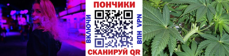 Марихуана семена как найти закладки Снежинск